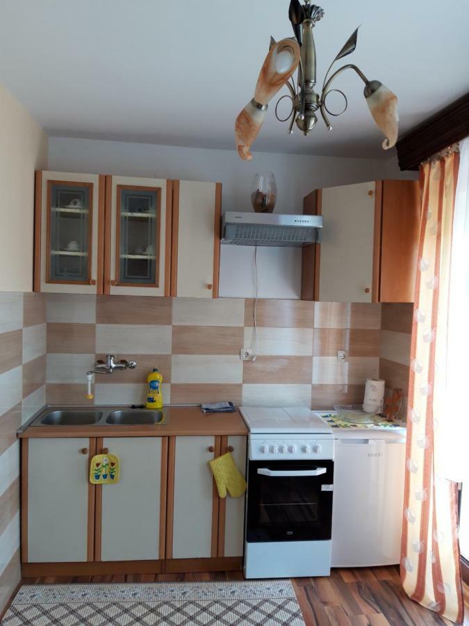 Studio Apartman Centar Ogulin Exterior photo